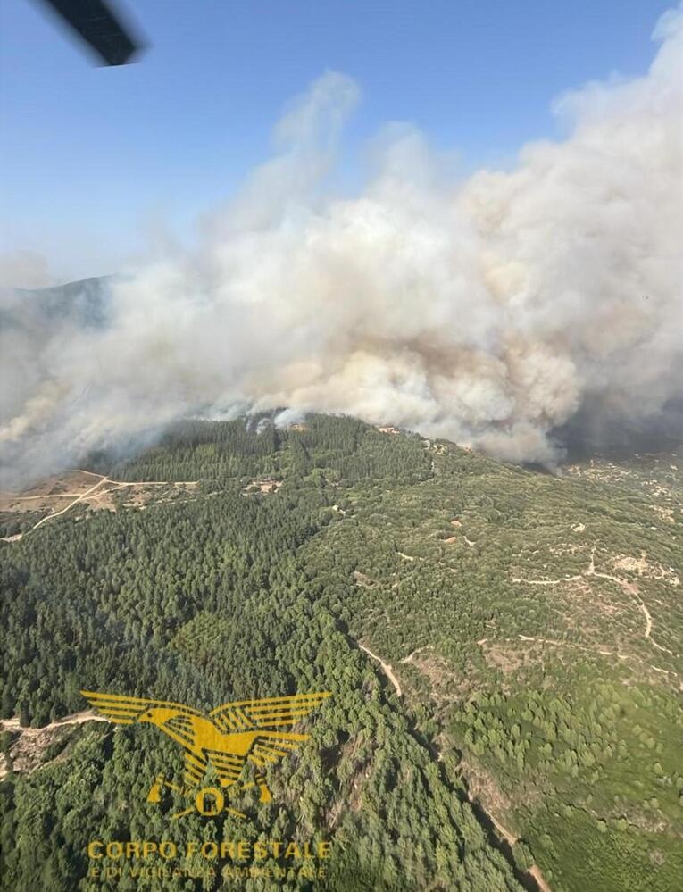 Incendio in Ogliastra, un centinaio di persone evacuate ad Arzana