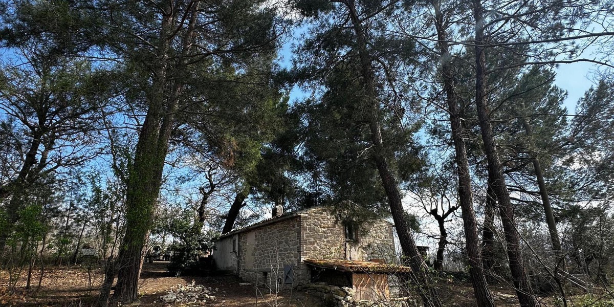Nuova assistente sociale per la famiglia del bosco