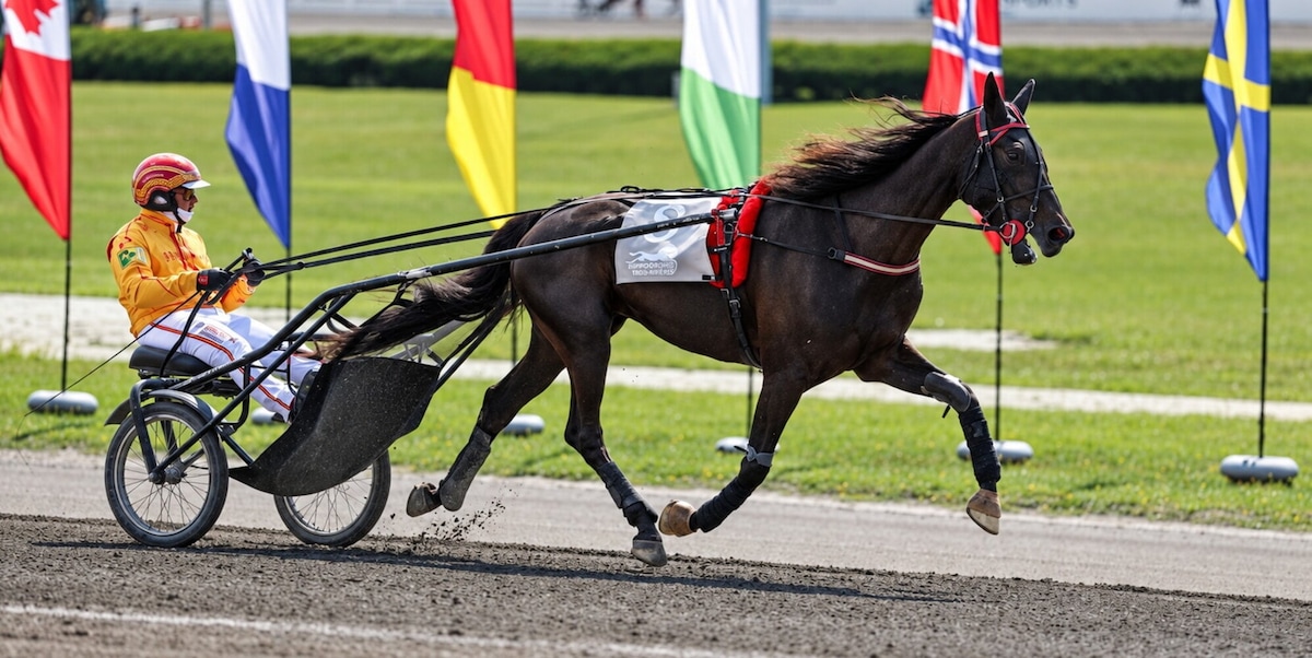 New York, Diva Ek all’International Trot. Weekend di corse con il 100° Derby Sardo e il Gran Premio Federnat