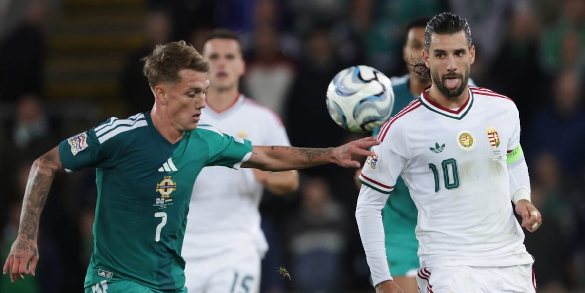 Pronostico Ucraina-Irlanda del Nord, ecco che match si aspettano i bookie