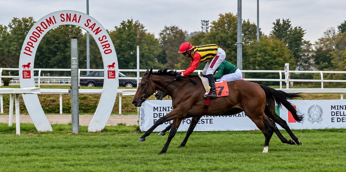Premio Verziere, Piccola Piuma incanta a San Siro