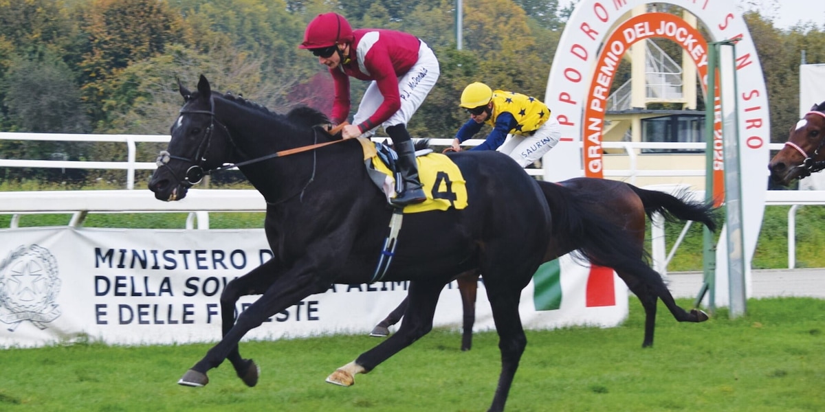 San Siro ombelico del galoppo europeo: weekend da sogno a Milano, attesa per il 104° Jockey Club
