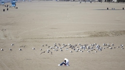 Coronavirus anche in California: spiagge vuote