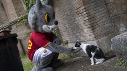 La Roma dona cibo alle associazioni a tutela di cani e gatti