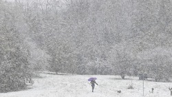 Milano, prime nevicate in città e provincia