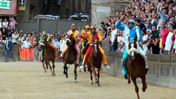 Palio di Siena in tv: dove vederlo, orario e contrade