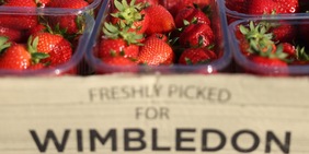 Wimbledon, tutto di più: dal montepremi ai biglietti, dalla queue alle fragole con la panna