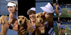 Kalinskaya, dolce invasione di campo: Bella sorprende l'ex di Sinner