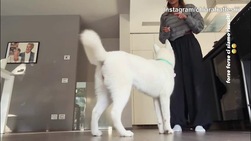 Chiara, prime "lezioni" alla cagnolina che recepisce al volo!