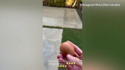 Theo Hernandez, che fai? Lancia uova sulla finestra di Nunez...