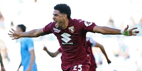 Toro solido: la rinascita di Coco