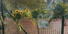 Quelle centinaia di girasoli per Ale, morto a 15 anni giocando a basket