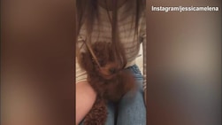 Lady Immobile, coccole dal suo amico a quattro zampe