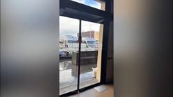 Fiorentina, arriva il colpo Solomon