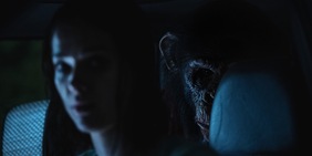 Ben – Rabbia Animale: il trailer svela l’horror più disturbante dell’anno