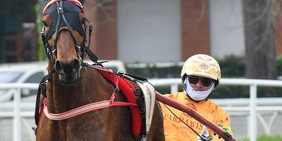 Ippica, domani l’80° GP Duomo a Firenze: è sfida tra giganti, Gocciadoro studia il poker