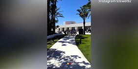El Shaaraway, addio al celibato con una maglia speciale: il video diventa virale
