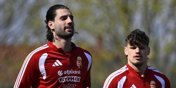 Pronostico Ungheria-Slovenia, Under 2,5 oppure Over 2,5? Meglio...