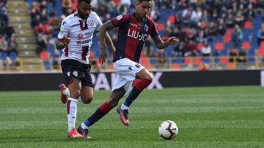 Serie A Bologna, è tornato Pulgar: solo lavoro differenziato