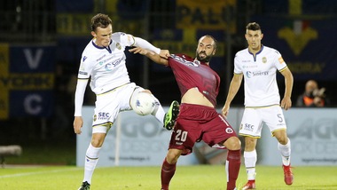 Hellas Verona-Cittadella in diretta dalle 21.15: probabili formazioni e dove vederla in tv