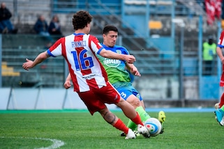 Vis Pesaro, ufficiale l'arrivo di Tascini