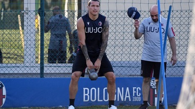 Bologna, vittoria in casa dell'Augsburg: in rete Destro, Svanberg, Santander