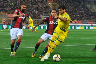 Sampdoria, ufficiale: Leris è blucerchiato