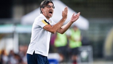 Verona, Juric: "Rispetto per il Milan, non paura"