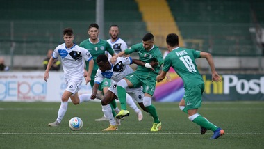 Bisceglie, si è dimesso il presidente Canonico