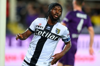 Parma, Gervinho perdonato: è di nuovo in gruppo