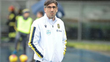 Verona, Juric: "Mi aspetto un'Inter arrabbiata dopo Dortmund"