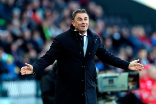 Spal, Semplici: "Errore di Petagna? Dispiace, aveva sempre segnato"