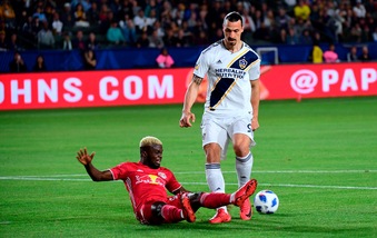 Bologna, Bigon: "Ibra ha rapporto forte con Sinisa, vedremo cosa sceglierà"