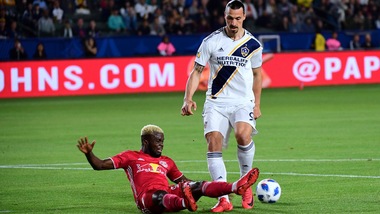 Bologna, Bigon: "Ibra ha rapporto forte con Sinisa, vedremo cosa sceglierà"