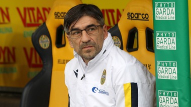 Verona, Juric: "Noi sorpresa del campionato? Non dobbiamo mollare niente"