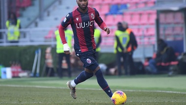 Bologna, parte di lavoro in gruppo per Denswil