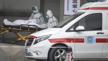 Sono 5 i virus diventati nocivi per l'uomo negli ultimi 16 anni