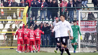 Il Monza sbanca 2-1 Vercelli. Cade il Renate a Como, ok Vicenza e Triestina
