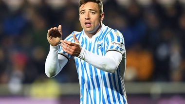 Spal, per Cionek solo personalizzato