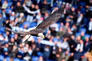 Lazio-Verona, 10 mila biglietti venduti: quasi 40 mila tifosi all'Olimpico