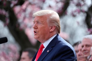 Coronavirus, Trump ufficializza lo stato di emergenza Usa: "Pronti 50 miliardi"