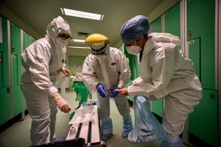 Coronavirus, ecco il vaccino: in estate la sperimentazione sull'uomo