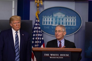 Washington Post: "Trump chiese l'immunità di gregge per gli Usa"