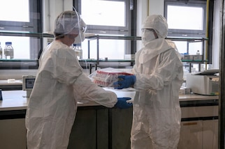 Daily Mail: "Coronavirus, Usa finanzia laboratorio di Wuhan. Cosa c'è dietro la pandemia"