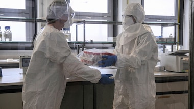 Daily Mail: "Coronavirus, Usa finanzia laboratorio di Wuhan. Cosa c'è dietro la pandemia"