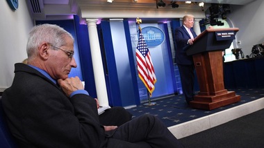 Coronavirus, Fauci: "Lo sport può ripartire nel 2020, ecco come"