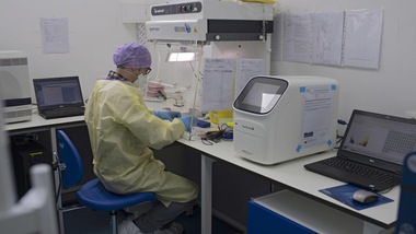 "Il Coronavirus non si prende al supermercato. Non vive a lungo sulle superfici"