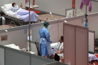 "Il Coronavirus si rifugia nei testicoli: la spiegazione all'alta mortalità maschile"
