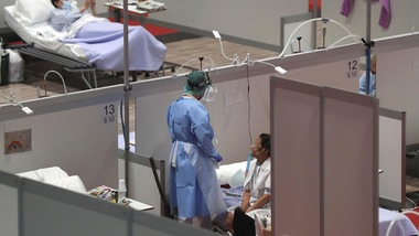 "Il Coronavirus si rifugia nei testicoli: la spiegazione all'alta mortalità maschile"