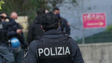Benevento, avvistata una pantera: la cerca la polizia